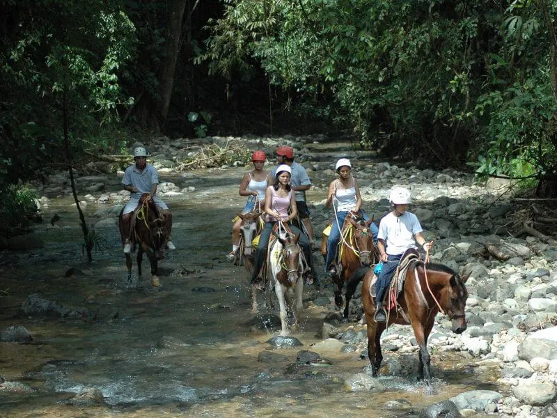 Horseback Riding Waterfall Tour Brisas del Nara image