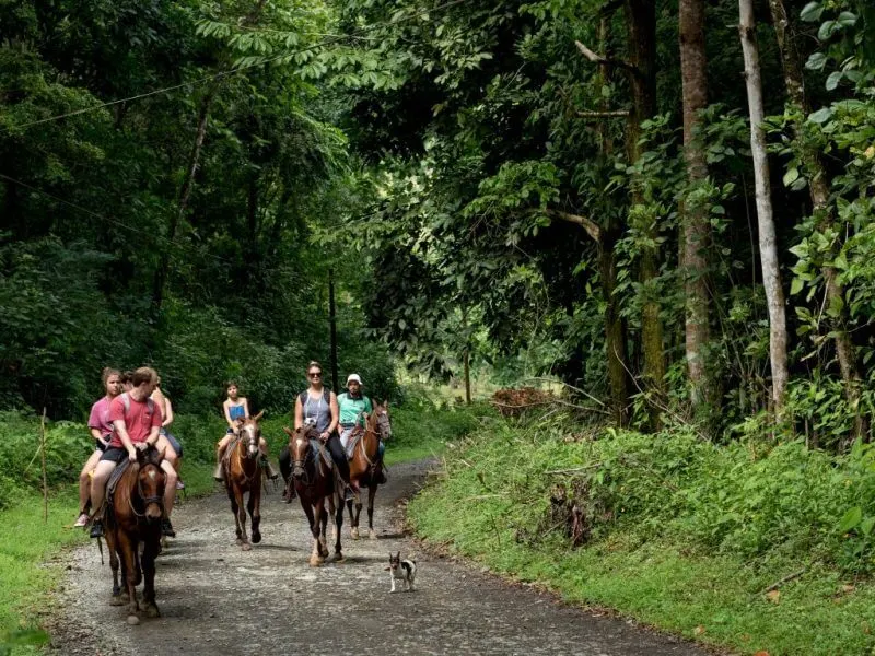 Horseback Riding Waterfall Tour Brisas del Nara 2