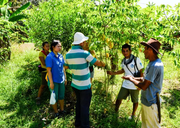 Don Guelo's Farm Tour in Uvita  3