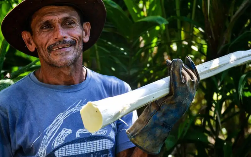 Don Guelo's Farm Tour in Uvita  2