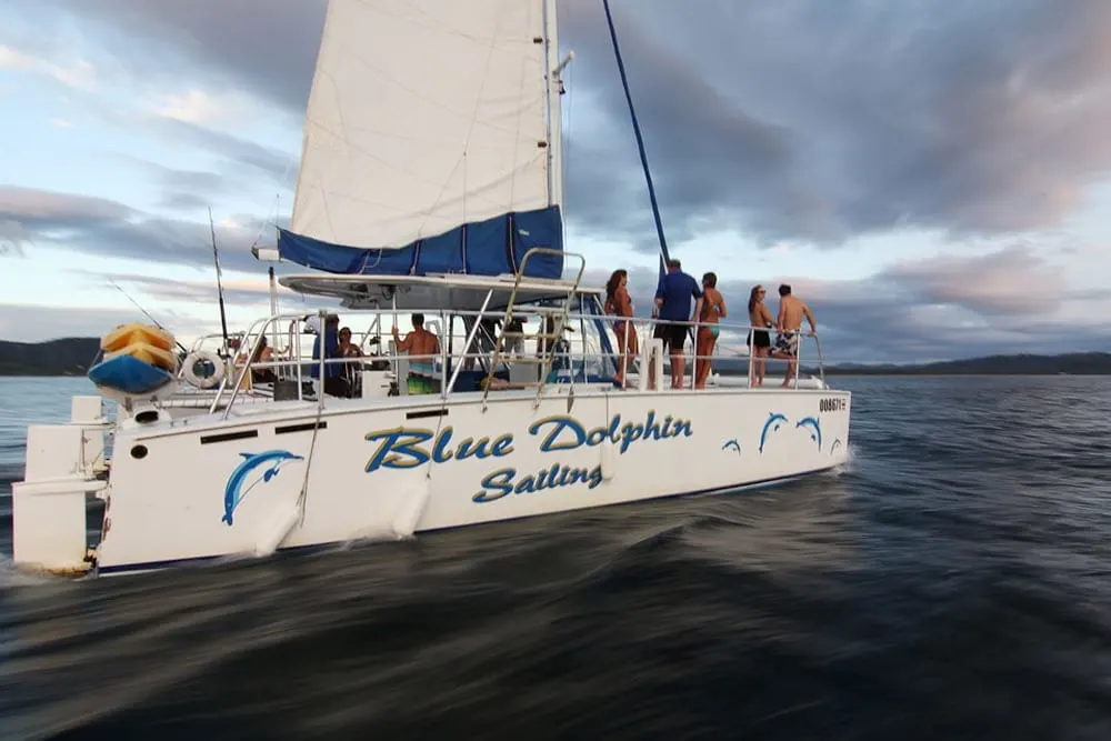 Blue Dolphin Catamaran Sunset Sailing from Tamarindo image