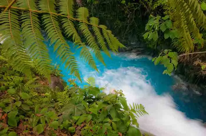 Sensoria Land of Senses & Magical Rainforest in Guanacaste 2