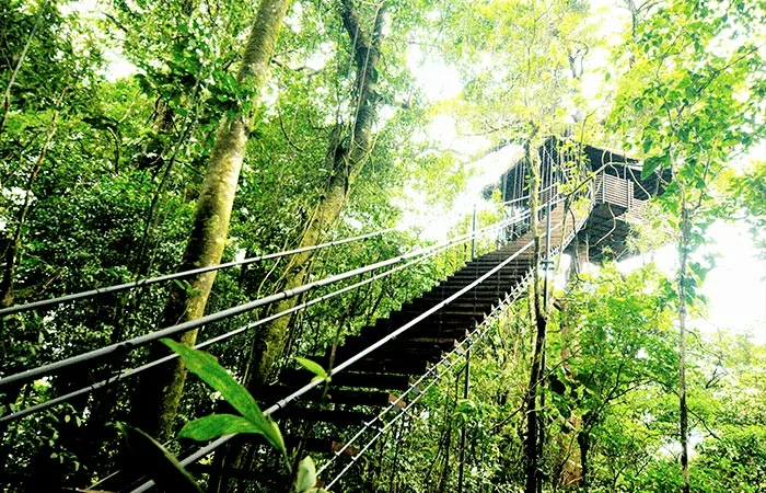 Sensoria Land of Senses & Magical Rainforest in Guanacaste 4