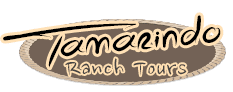 Tamarindo Rach Tours
