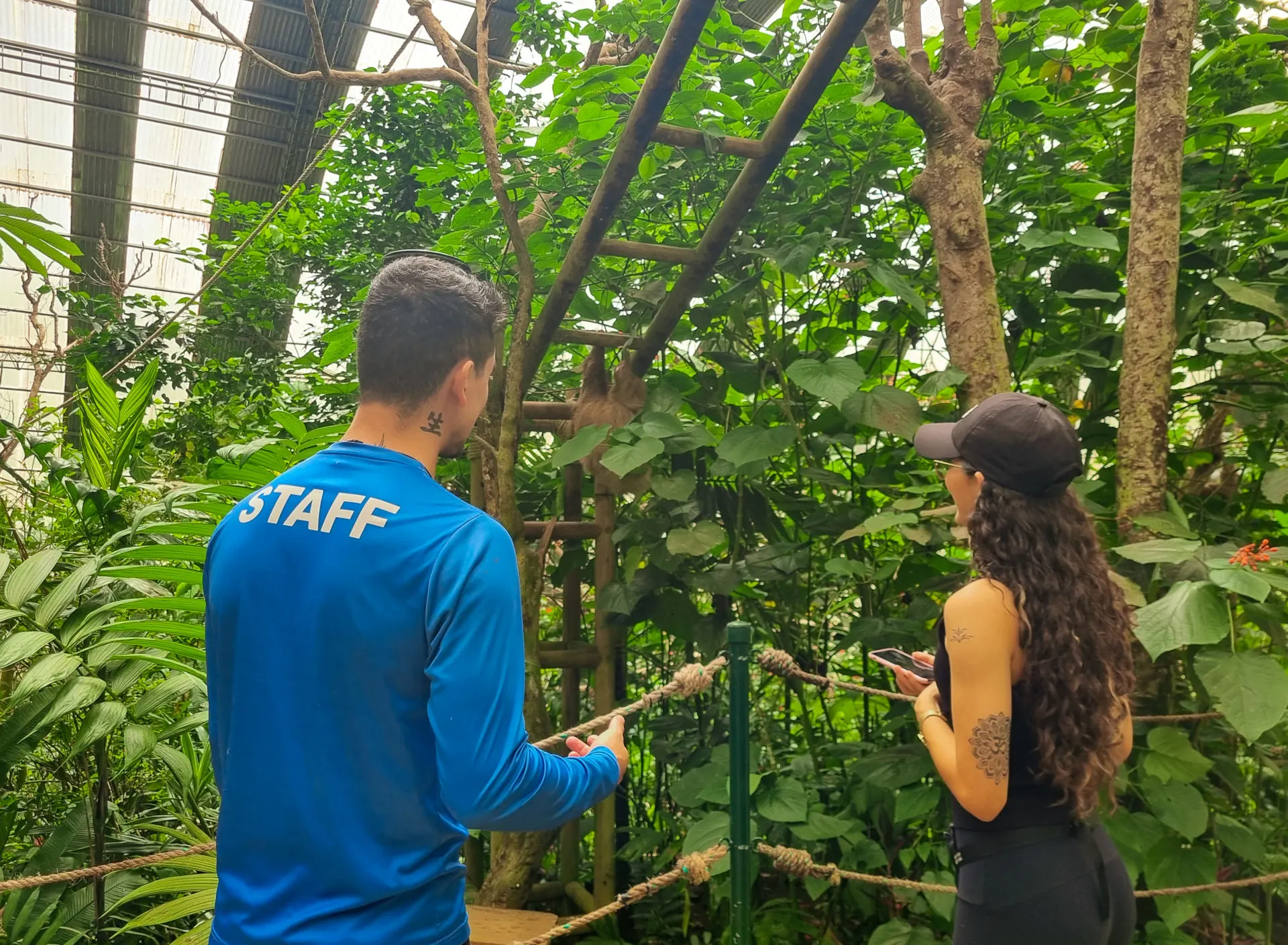 Full-Day Trip to Selvatura Adventure Park 4