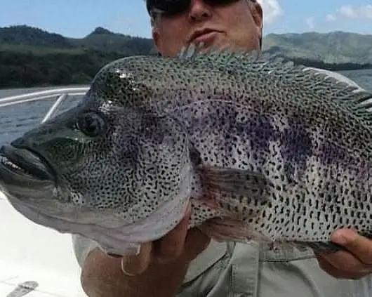 Lake Arenal Fishing in La Fortuna 2