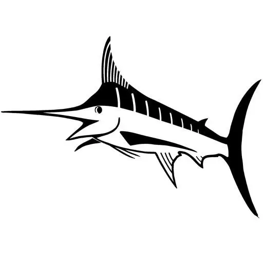 Tamarindo Fishing