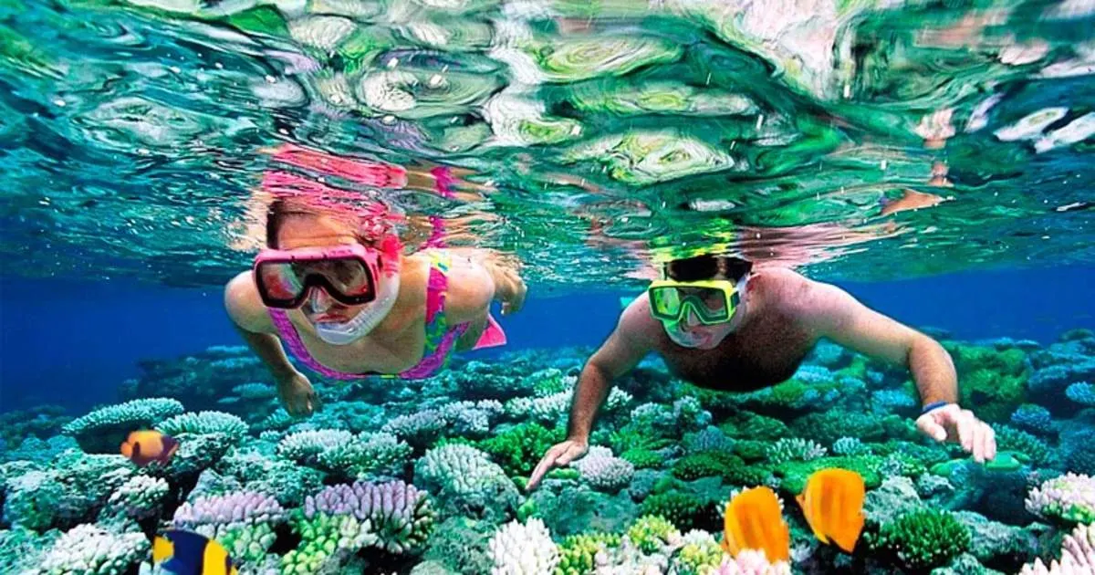 Koh Rong Samloem Island Snorkeling Tour in Sihanoukville image