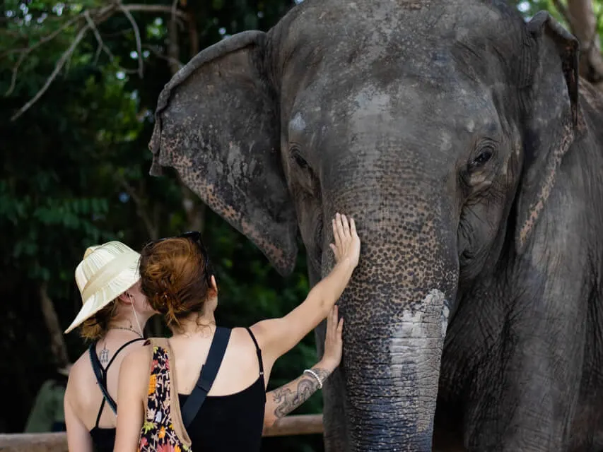 Siem Reap Elephant Private Tour with Countryside Temples image