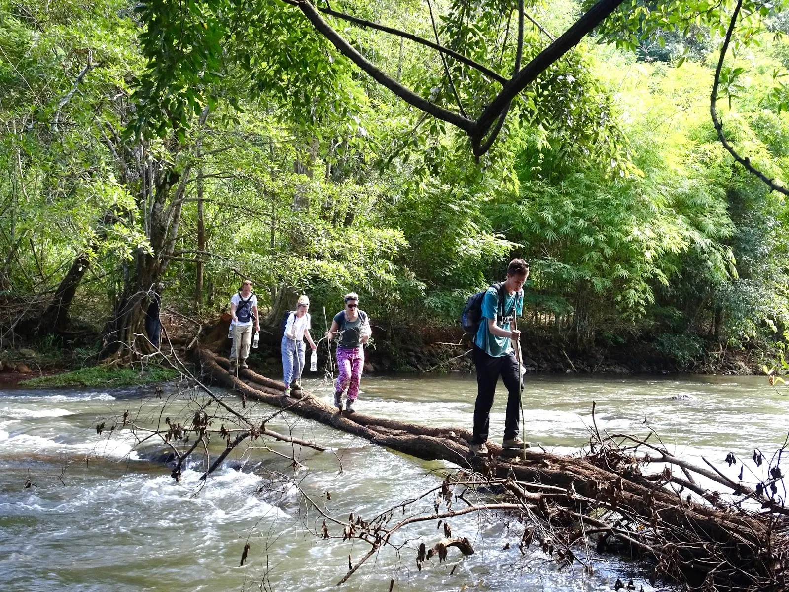 Virachey National Park Trekking and Bamboo Rafting Experience 2