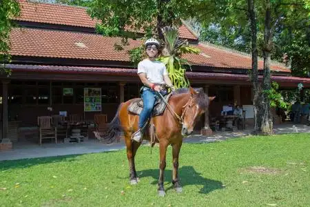 Horseback Riding at Siem Reap Angkor 4