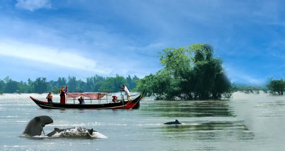 Dolphin Watching in Mekong River 3