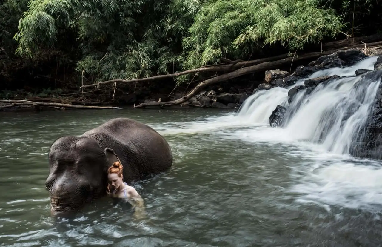 Mondulkiri Eco-friendly Elephant Project Experience image