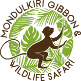 Mondulkiri Gibbon & Wildlife Safari