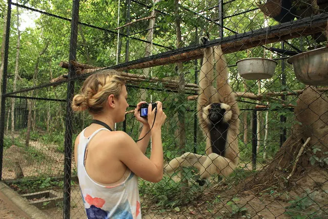 Tour at the Phnom Tamao Wildlife Rescue Center 4