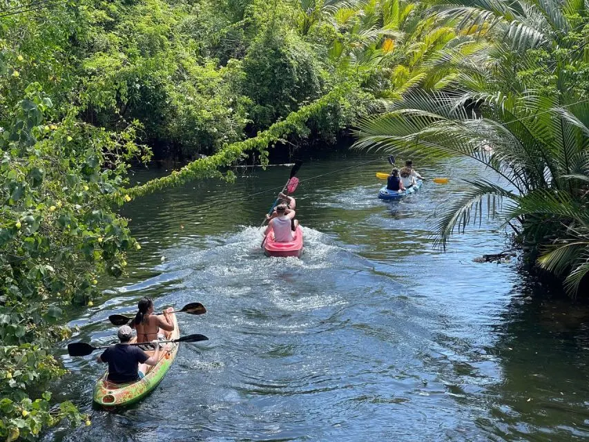 Kayaking Tour in Kampot River Cambodia 3