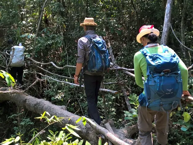 Trekking Tour in Cardamom Mountains  4
