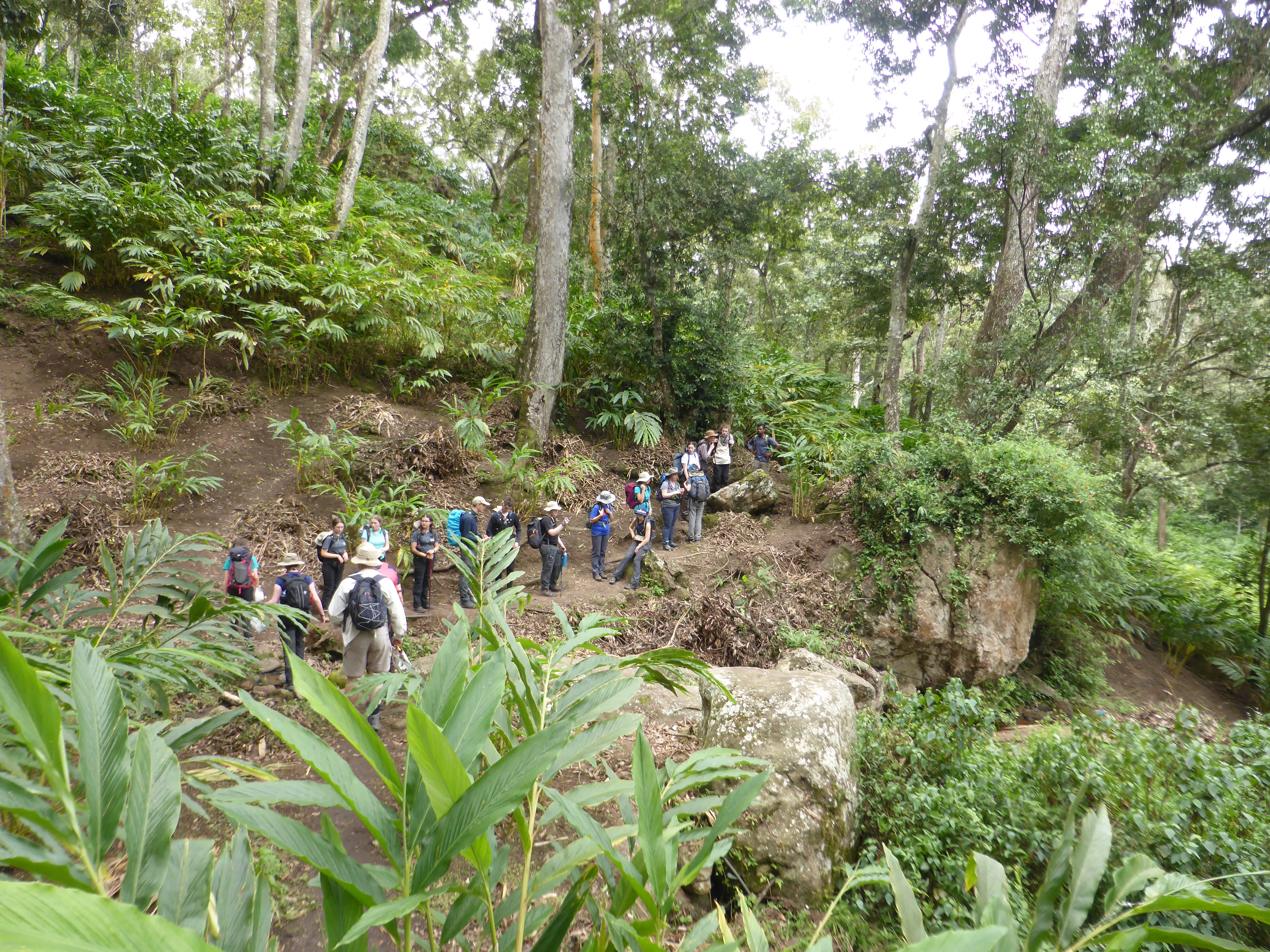 Trekking Tour in Cardamom Mountains  3