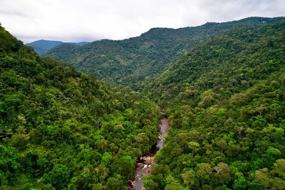 Trekking Tour in Cardamom Mountains  image