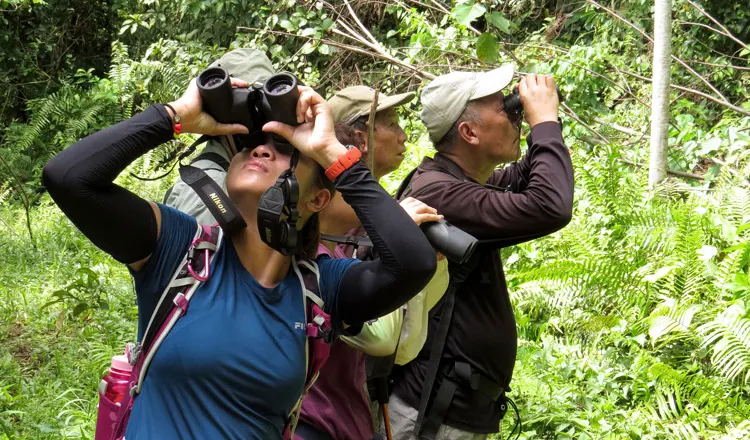 Phnom Penh Birding Experience 4