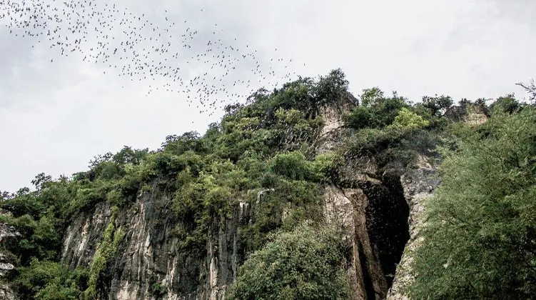 Explore Battambang Tour 3