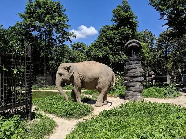 Phnom Tamao Wildlife +Tonle Bati Ta Prohm Temple in Phnom Penh  2
