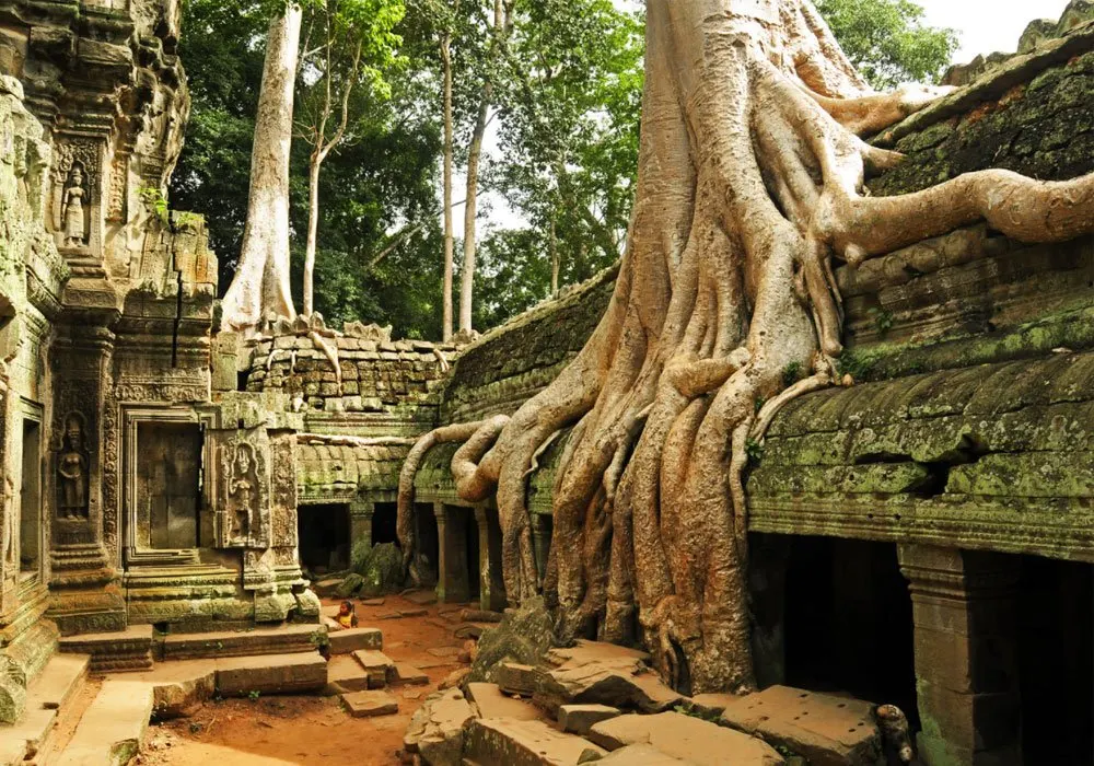 Phnom Tamao Wildlife +Tonle Bati Ta Prohm Temple in Phnom Penh  3
