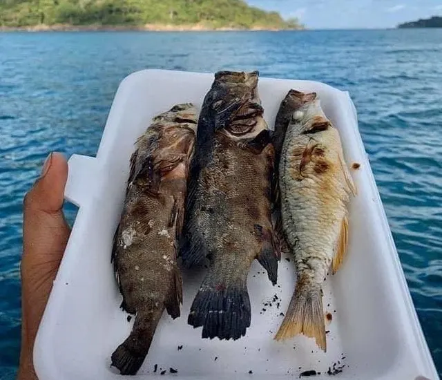 Fishing and Snorkeling Tour in Koh Rong Island 4