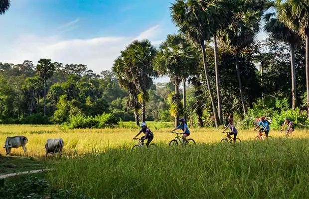 West Baray Cycling Tour & Boat Riding Tour 3