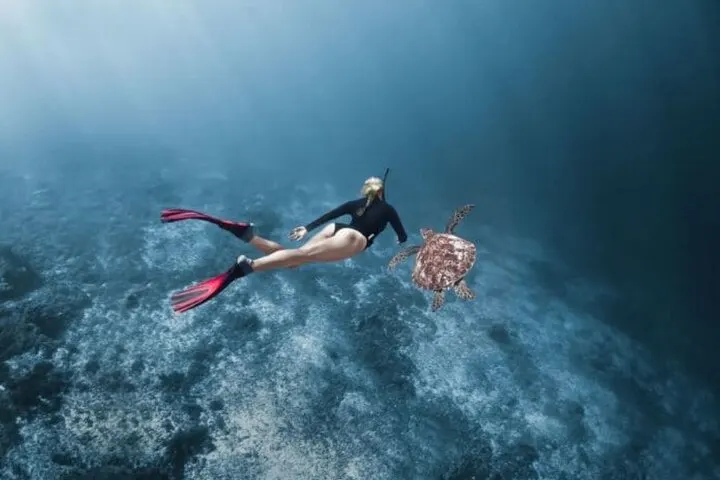 Fun Dive in Koh Rong Sanloem 2