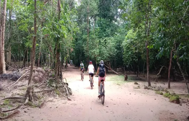 Angkor Sunrise Cycling Tour with Breakfast and Lunch 2