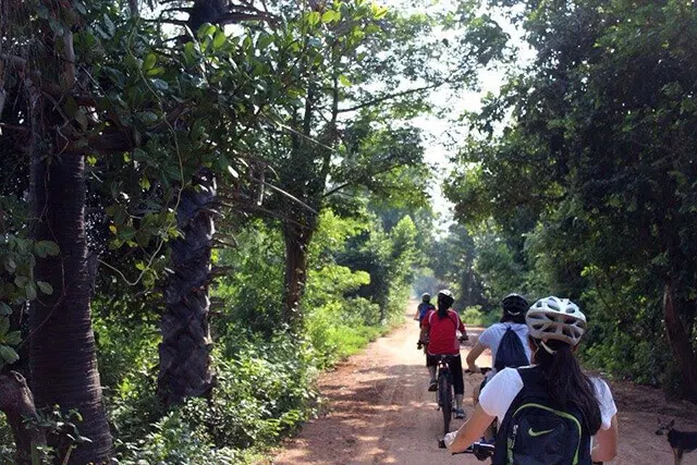 Banteay Srei & Grand Temple Cycling Tour in Siem Reap 2