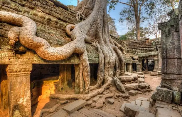 Angkor Wat, Ta Prohm and Bayon Temple Tour in Siem Reap 3