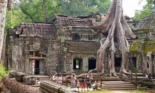 Angkor Wat, Ta Prohm and Bayon Temple Tour in Siem Reap image