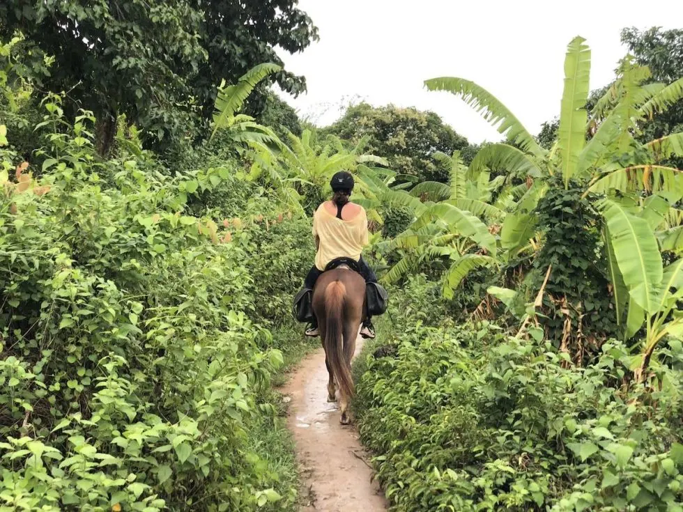 Horse Riding Experience in Kampot’s Countryside 2