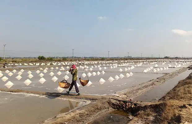 Kampot and Kep Highlights Adventure Tour 3