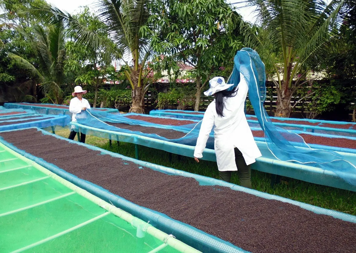 Kampot and Kep Highlights Adventure Tour 2