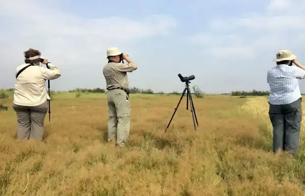 Kampong Thom Grassland Bird Watching Tour 4