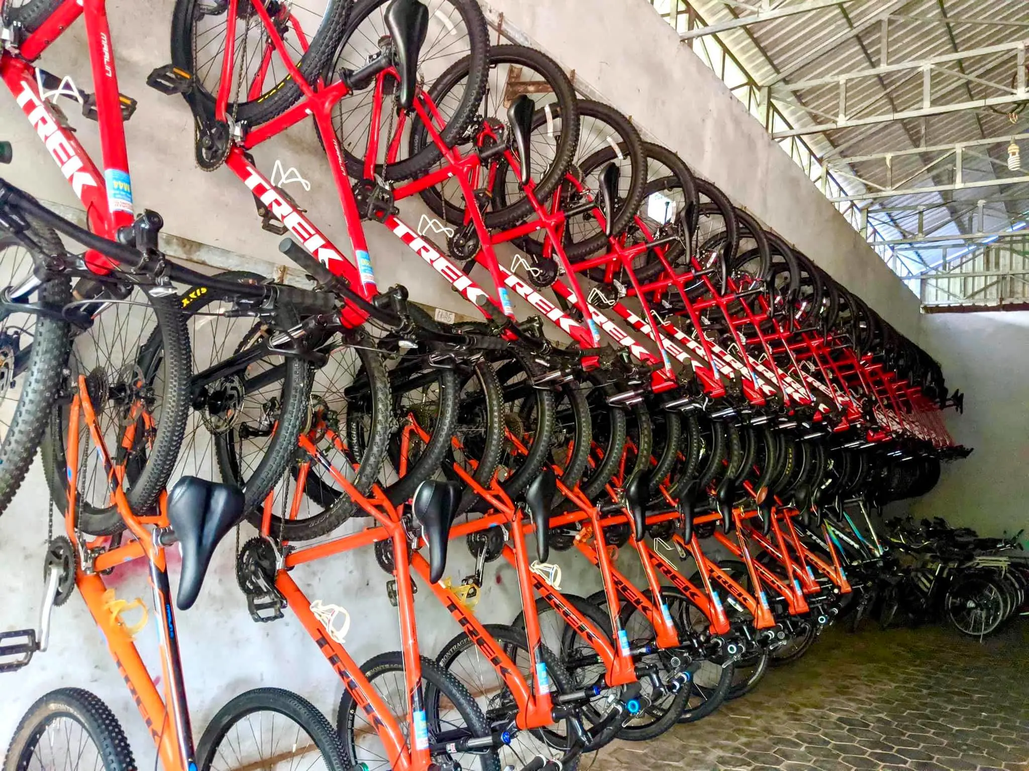 Learn-to-Ride Bicycle Class in Siem Reap 4