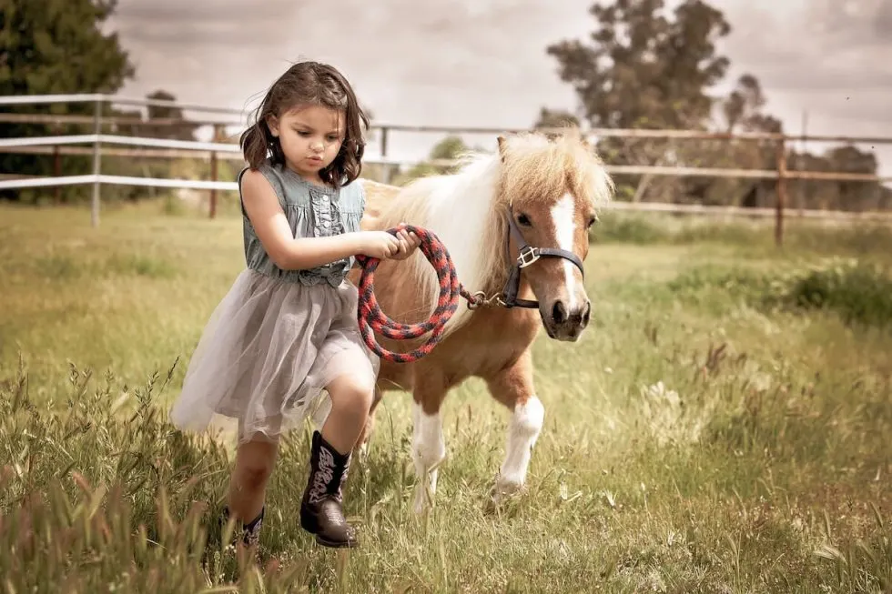 Horse Riding Class in Kampot 4