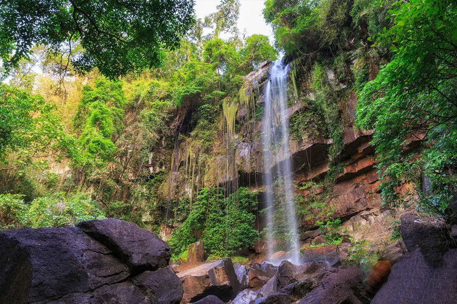 Kirirom National Park Tour from Phnom Penh image