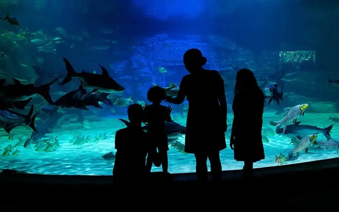 Private River Monster Tour at Angkor Wildlife and Aquarium image