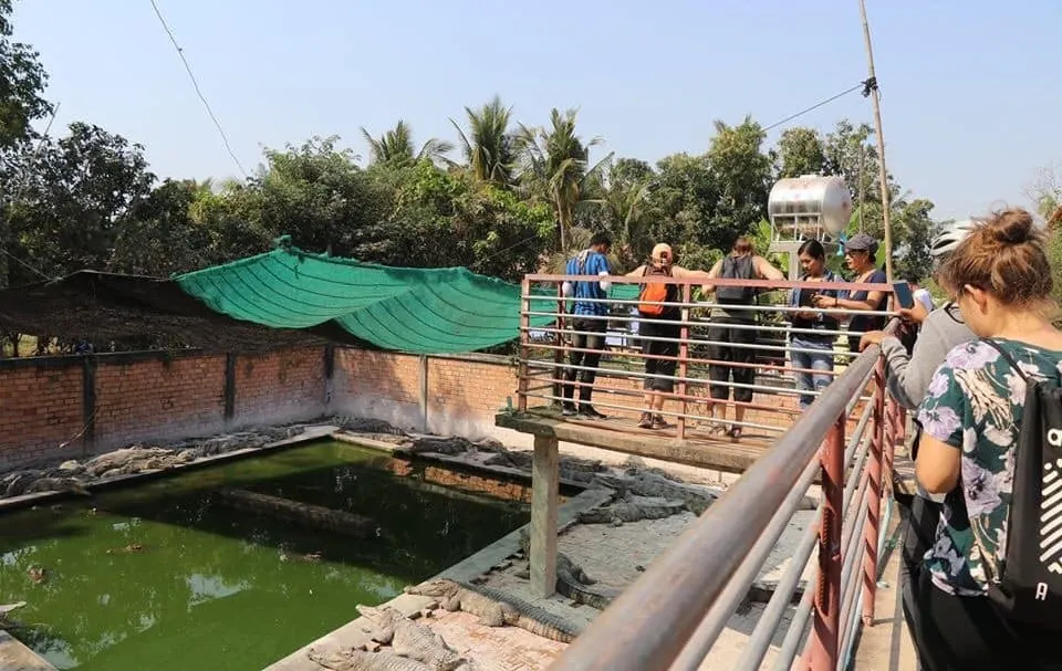 Crocodile Farm Tour in Siem Reap 3