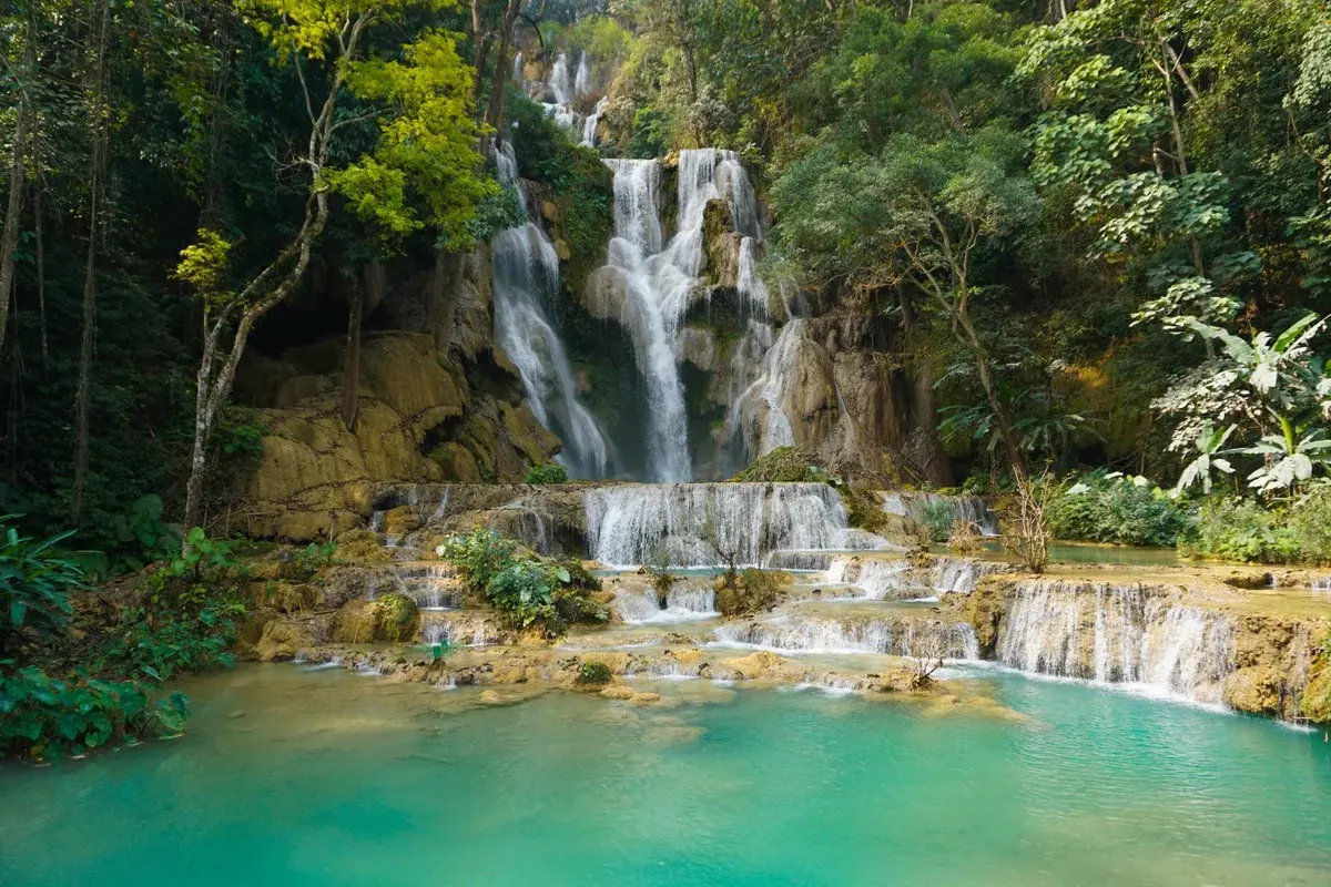 Trek to Kuang Si Waterfall in Luang Prabang and Visit Bear Rescue Centre image