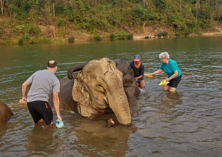 Luang Prabang Elephant Experience with Trekking 3