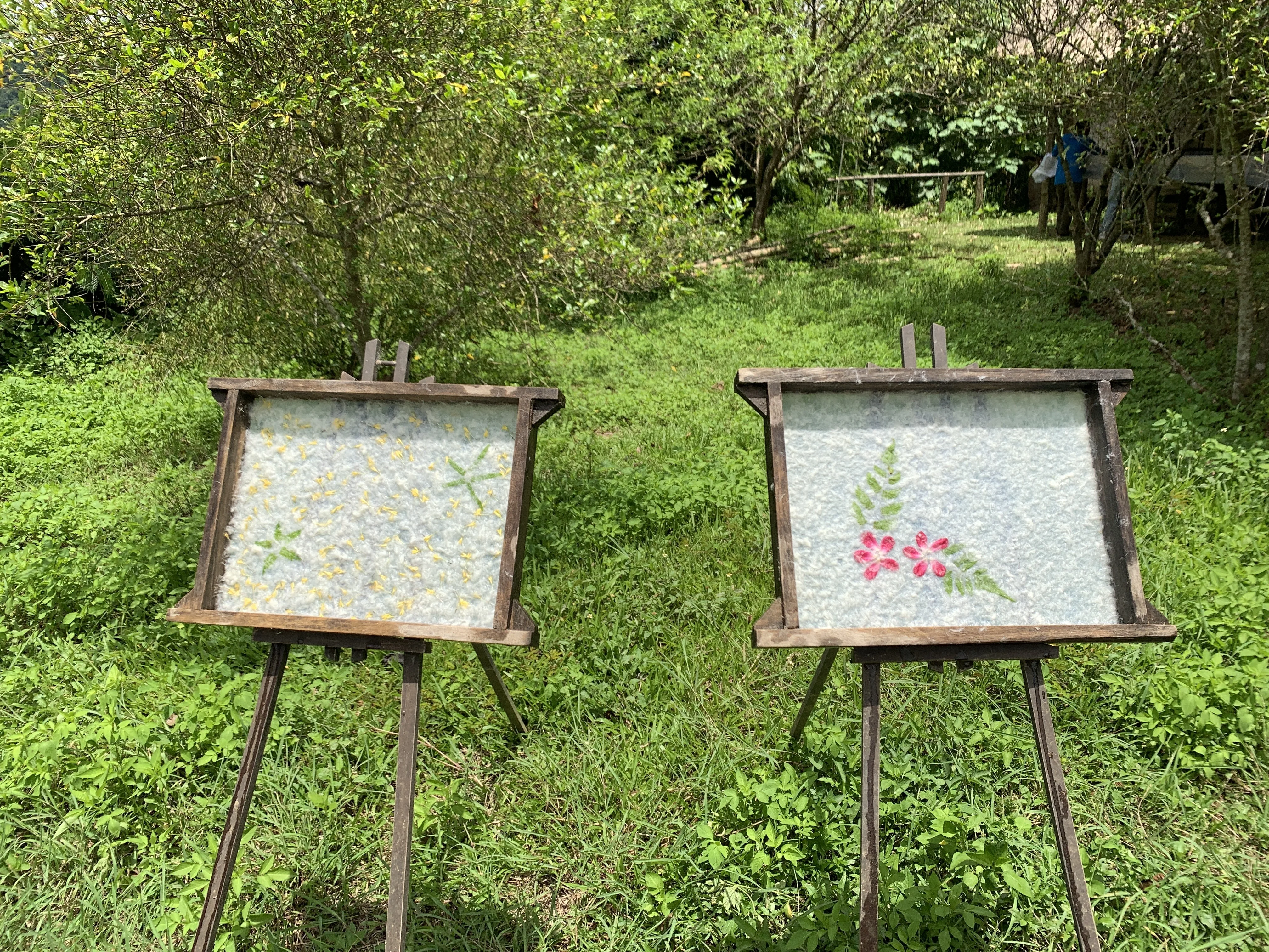 Mulberry Paper Workshop in Luang Prabang 3