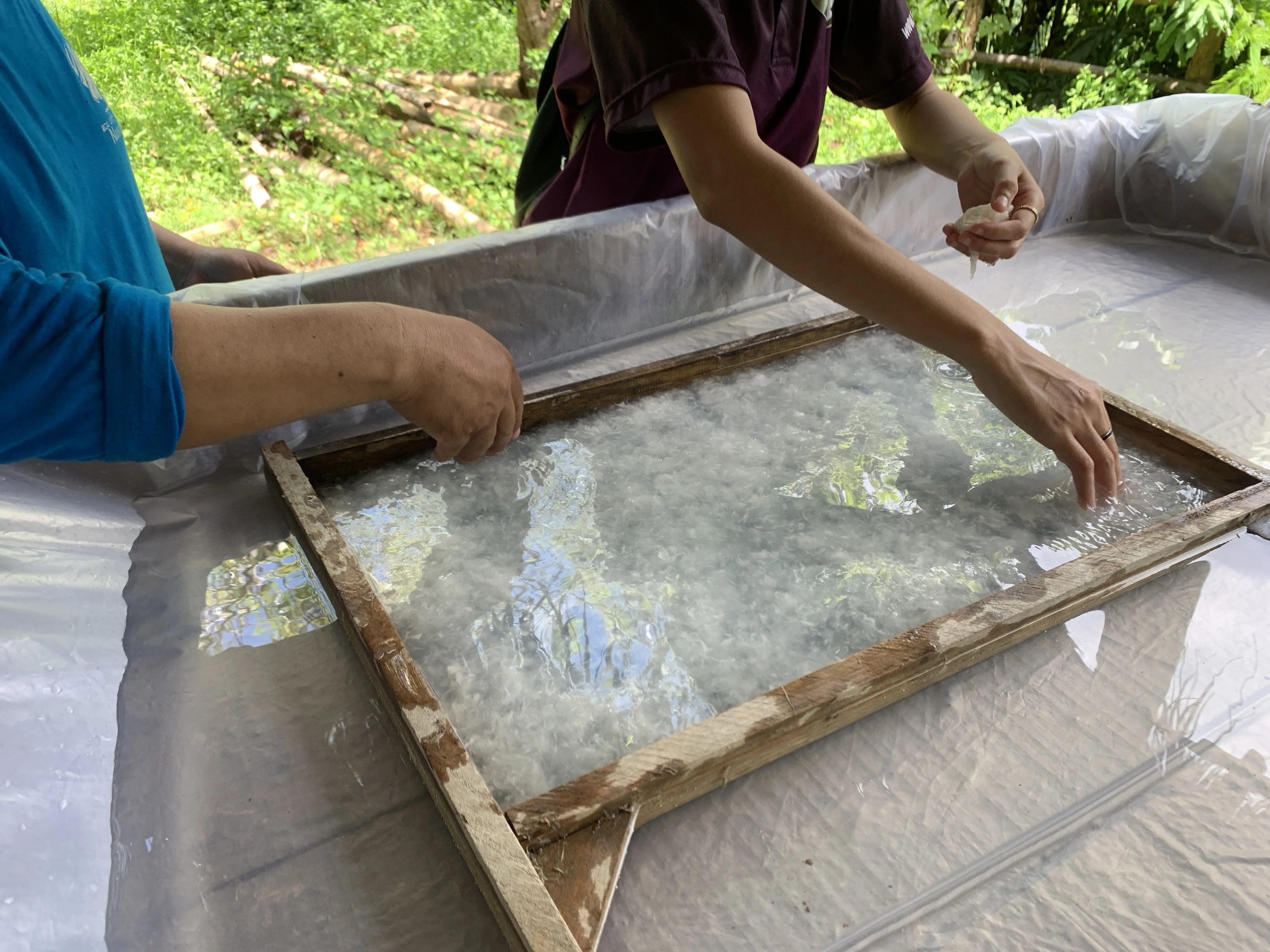 Mulberry Paper Workshop in Luang Prabang 4