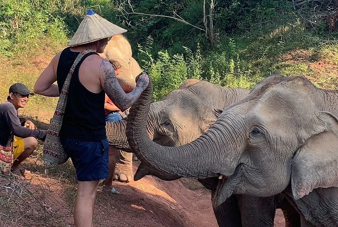 Elephant Adventure, Mahout Training and Pak ou Caves in Luang Prabang image