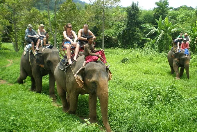 Elephant Adventure, Mahout Training and Pak ou Caves in Luang Prabang 2