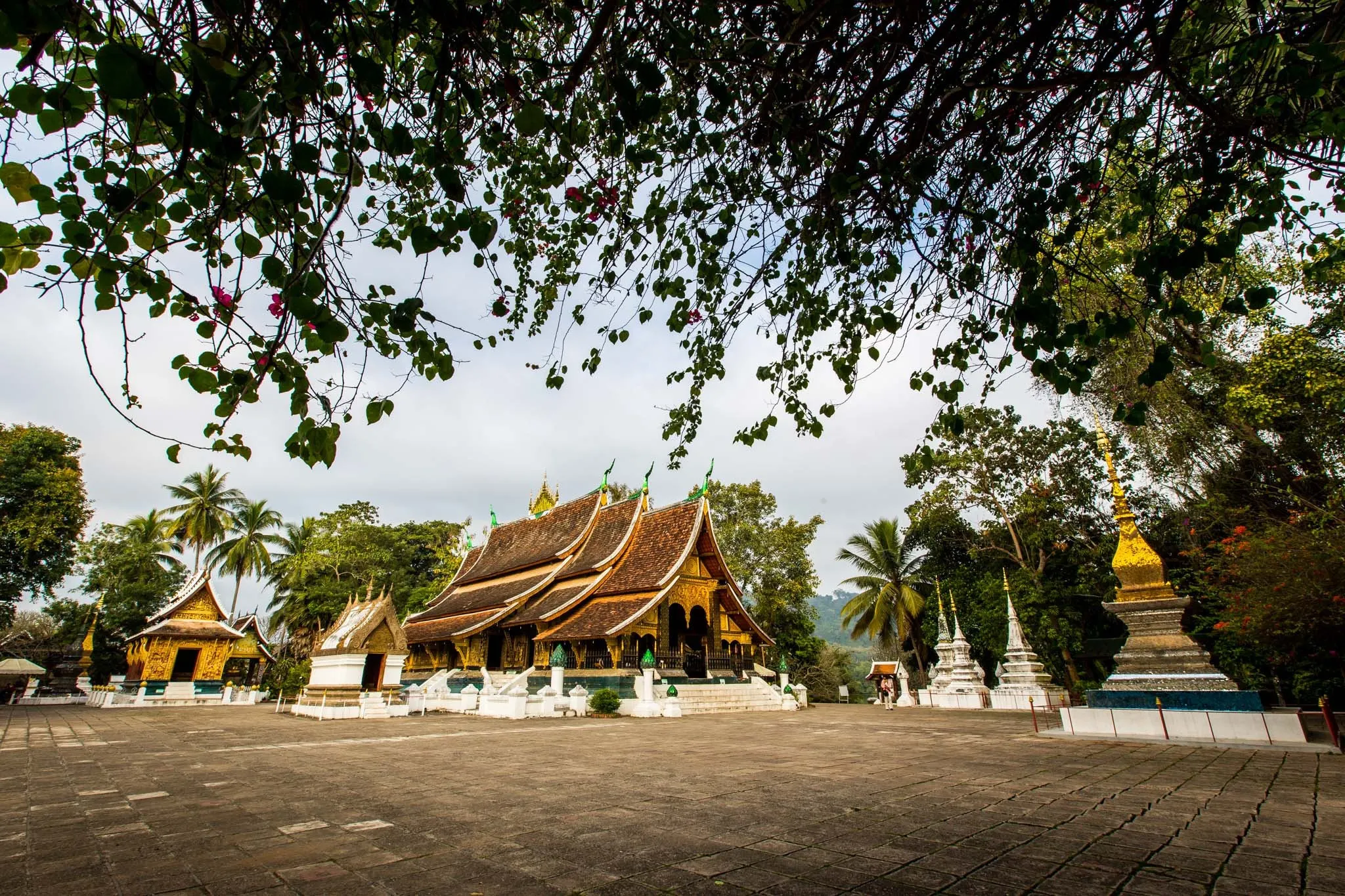 Luang Prabang City Tour & Kuang Si Waterfall 3